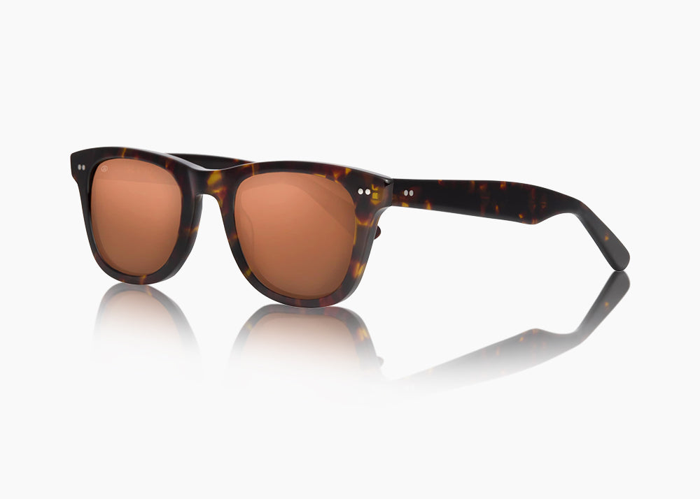 tokyo tortoise|brown 12