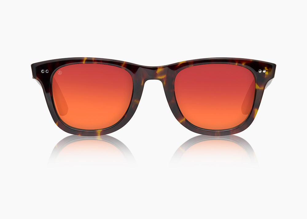 tokyo tortoise|red sunset mirror