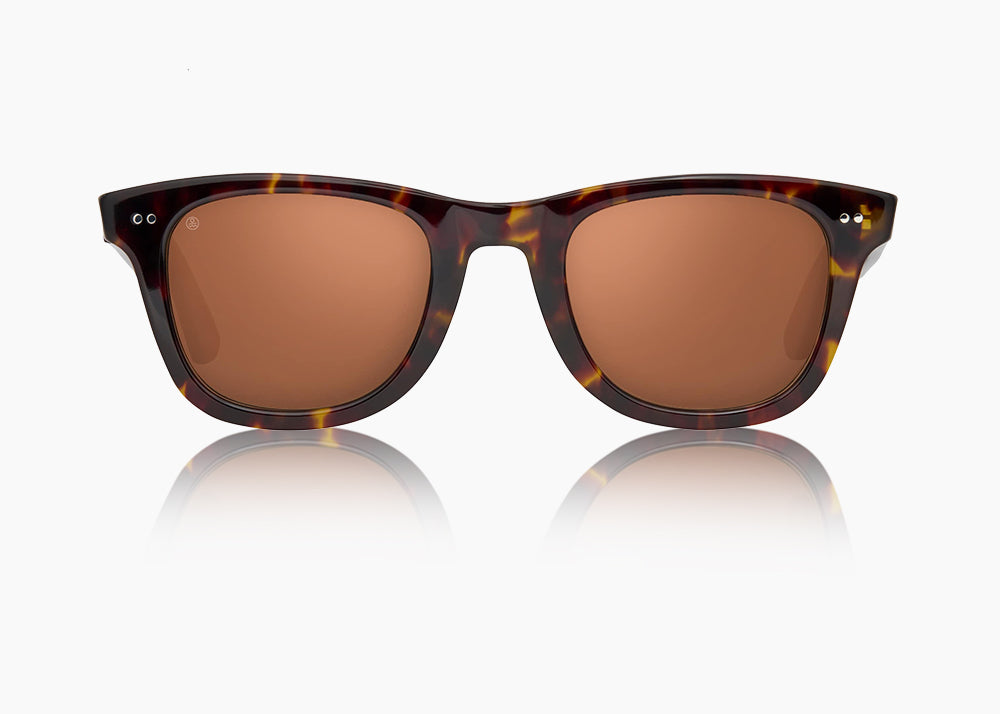 tokyo tortoise|brown 12