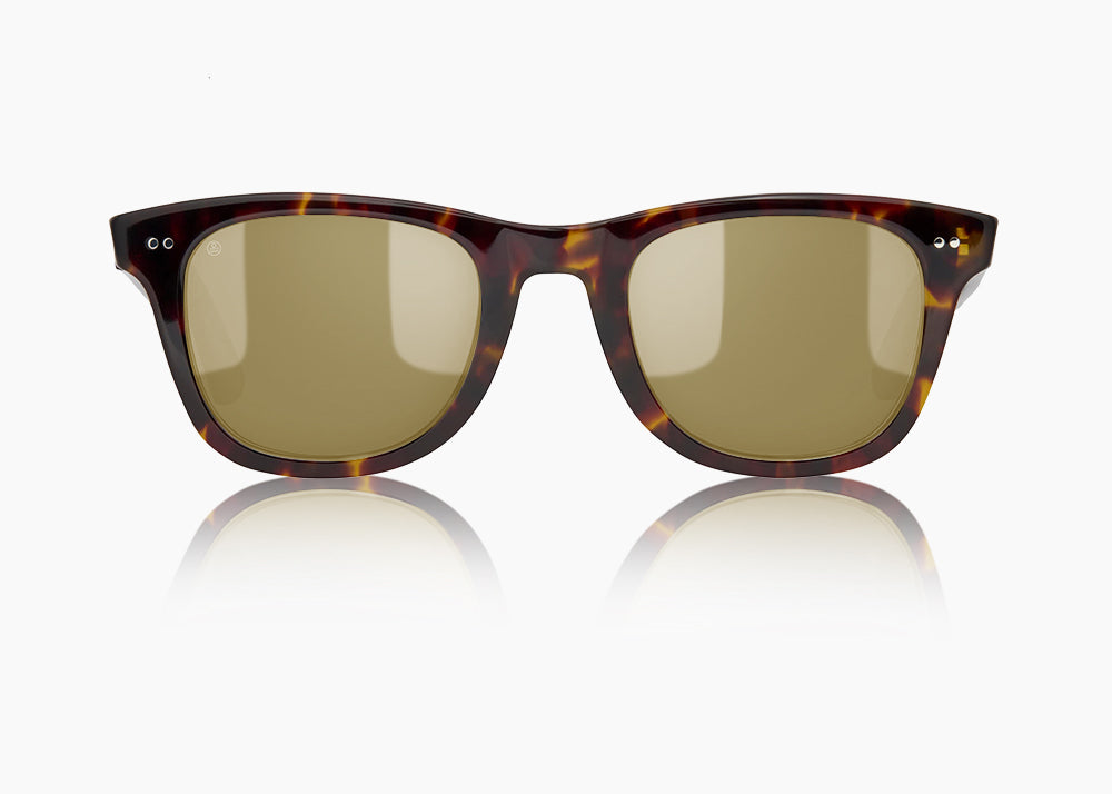 tokyo tortoise|yellow low light