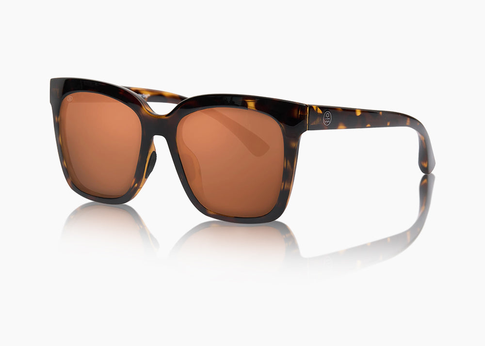 tokyo tortoise|brown 12