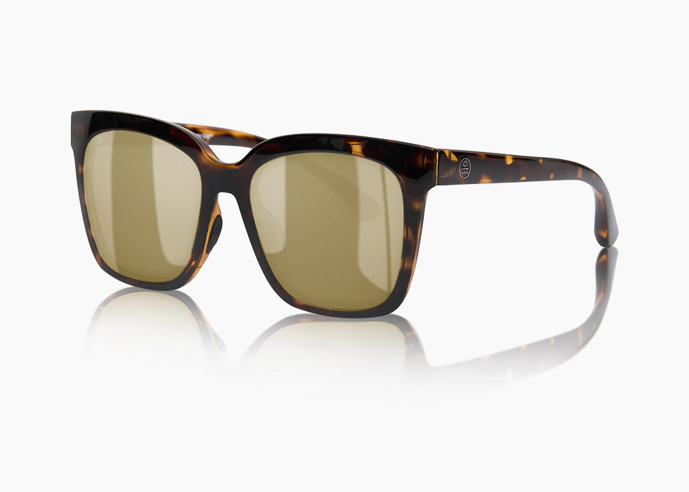 tokyo tortoise|yellow low light