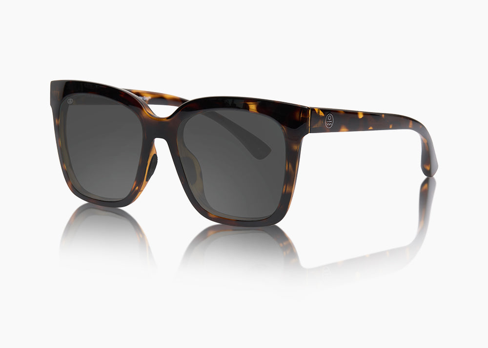 tokyo tortoise|gray 12