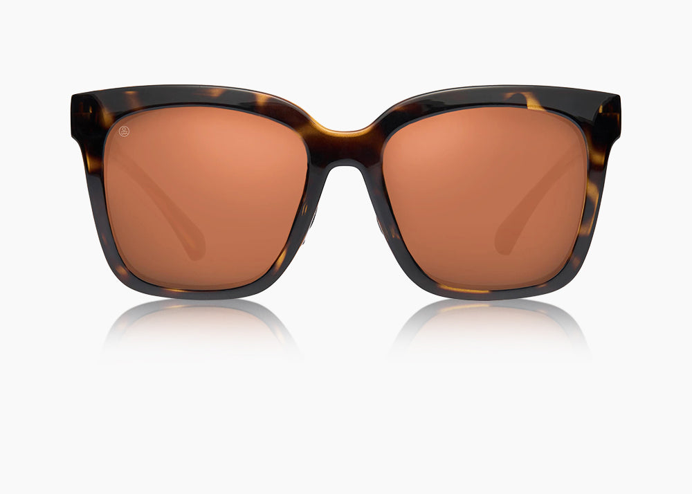 tokyo tortoise|brown 12