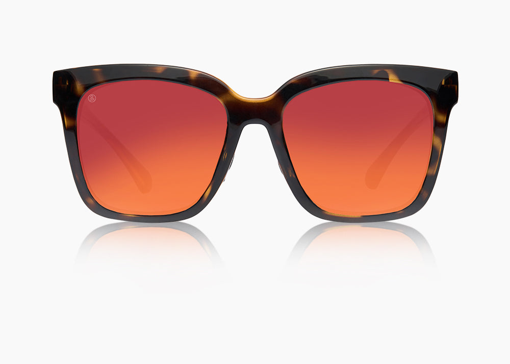 tokyo tortoise|red sunset mirror