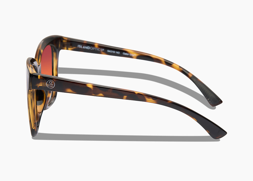 tokyo tortoise|red sunset mirror