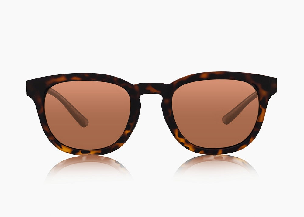 matte tortoise|brown 12