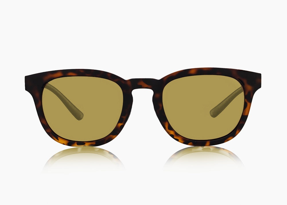matte tortoise|yellow low light