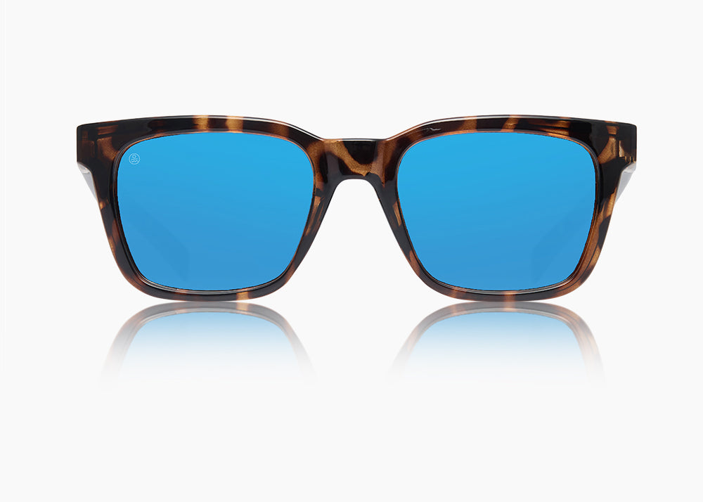 tokyo tortoise|blue flash mirror