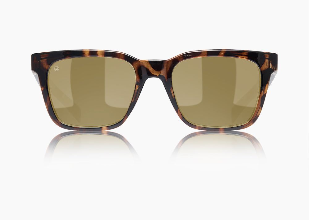 tokyo tortoise|yellow low light