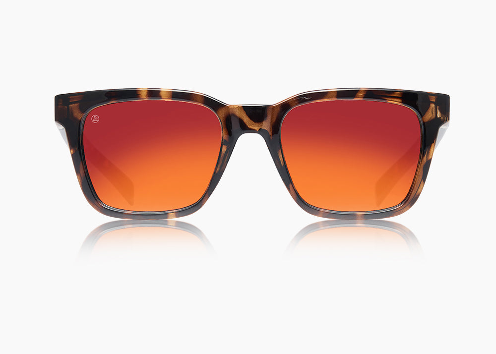tokyo tortoise|red sunset mirror
