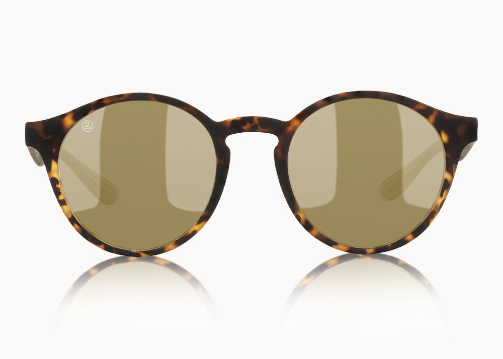 matte tortoise|yellow low light