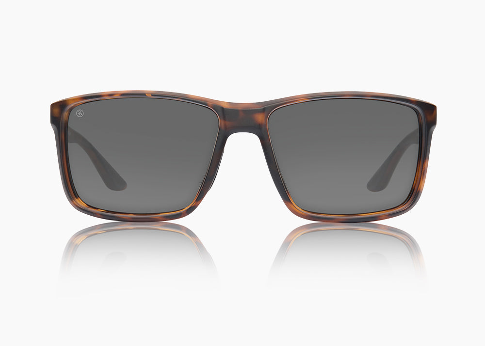 frame|matte tortoise|lens|gray 12
