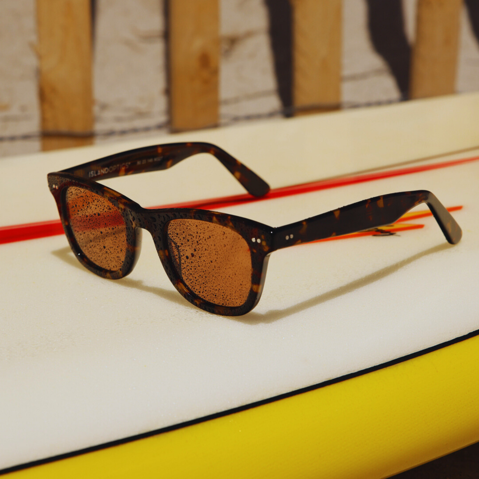 tokyo tortoise|brown 12