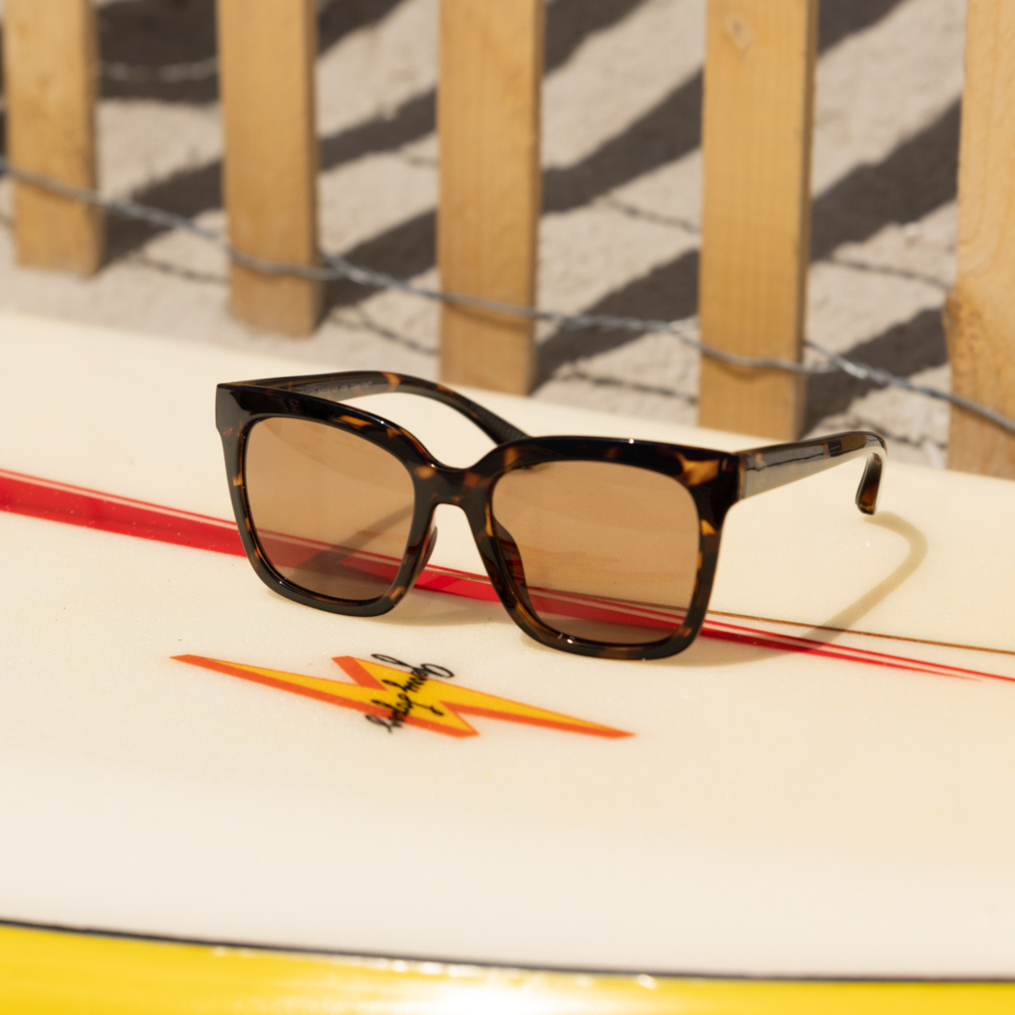 tokyo tortoise|brown 12