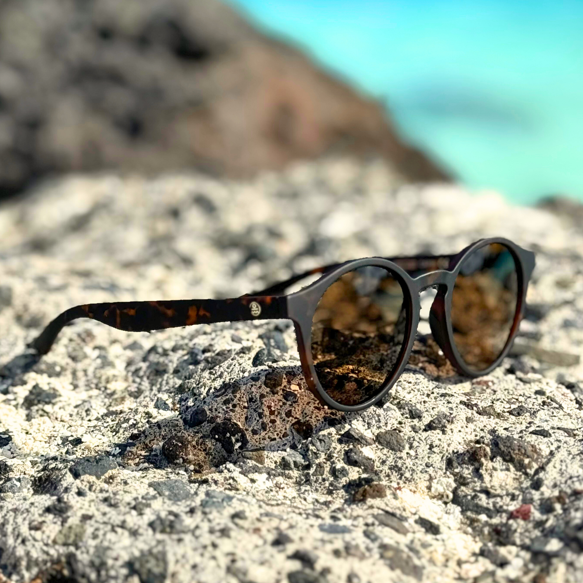 matte tortoise|brown 12