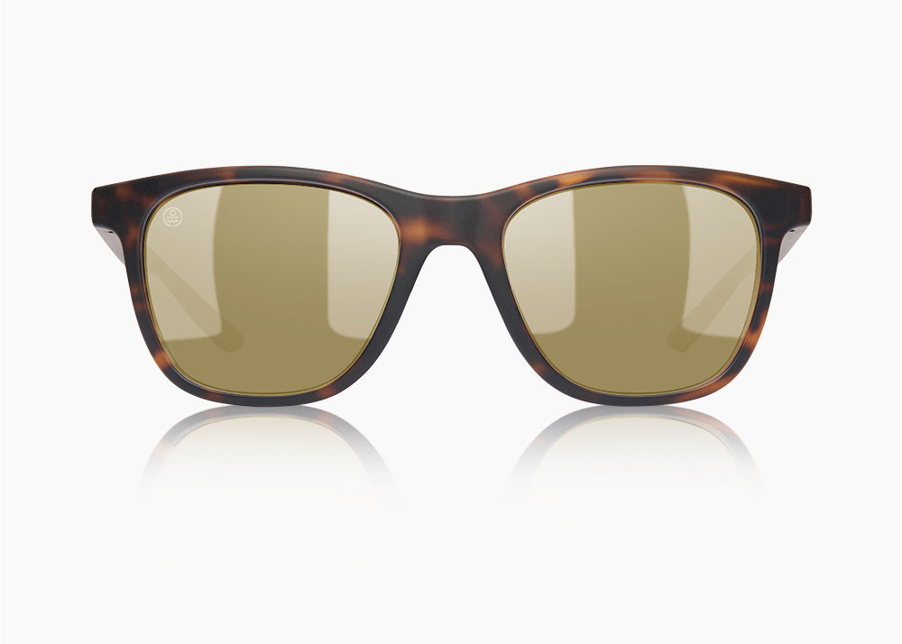 matte tortoise|yellow low light