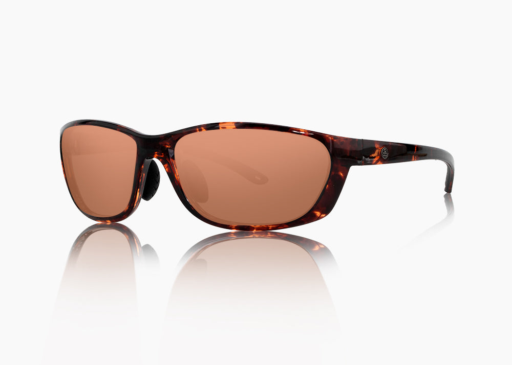 tokyo tortoise|brown 12