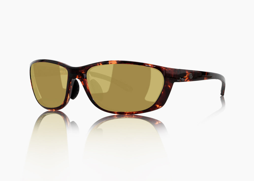 tokyo tortoise|yellow low light