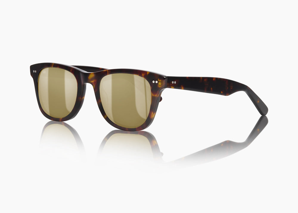 tokyo tortoise|yellow low light