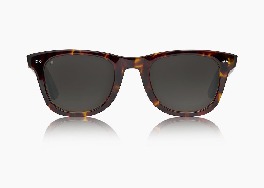 frame|tokyo tortoise|lens|gray 12