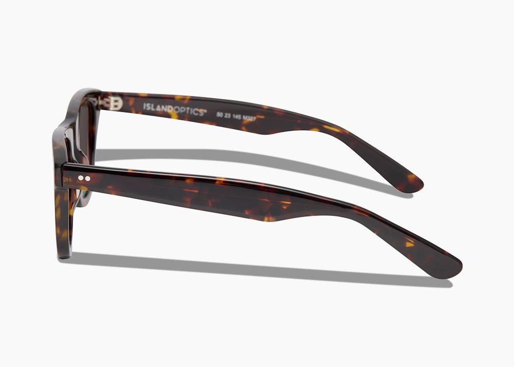frame|tokyo tortoise|lens|gray 12