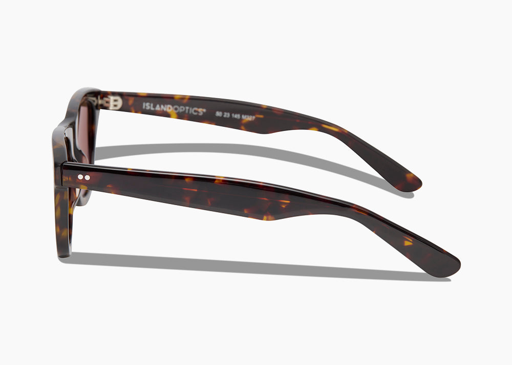 frame|tokyo tortoise|lens|brown 12