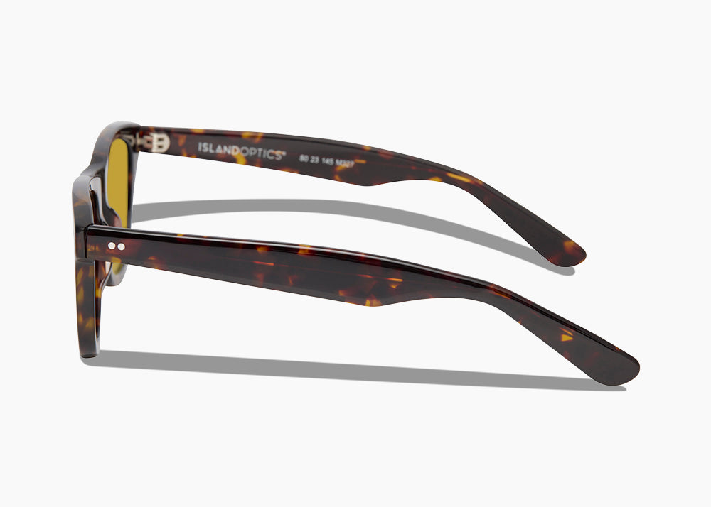 tokyo tortoise|yellow low light