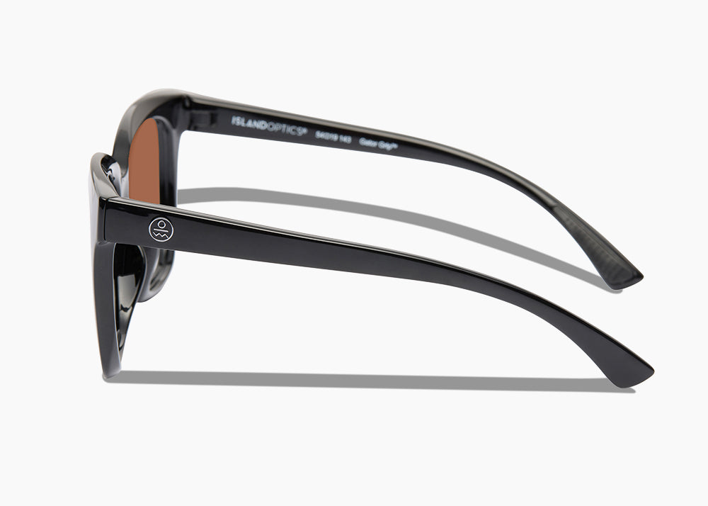 frame|gloss black|lens|brown 12
