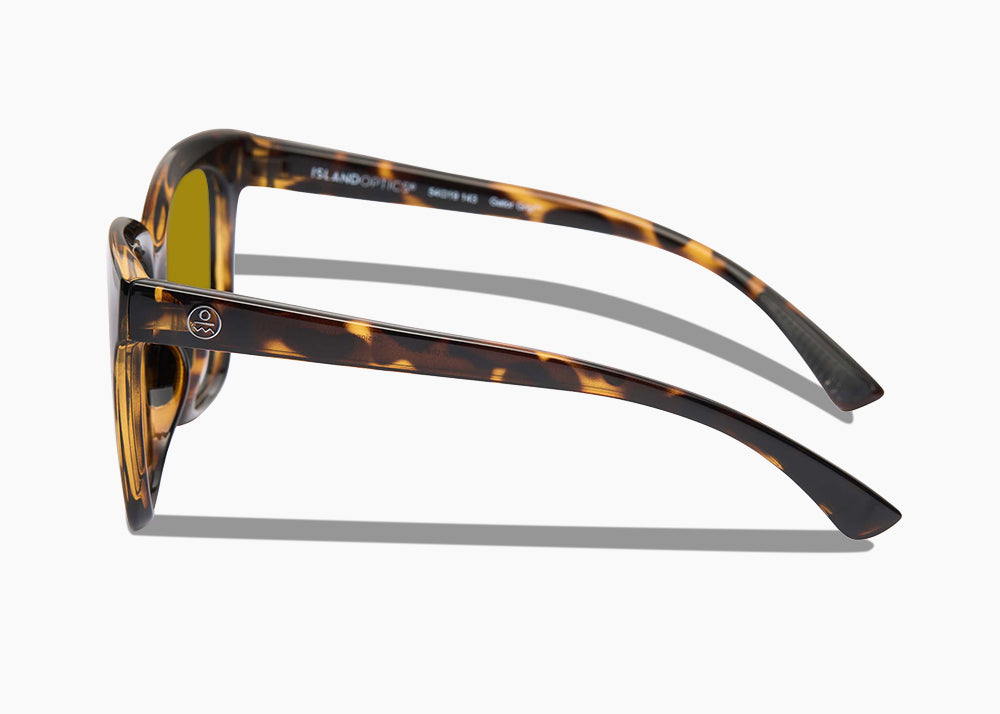 tokyo tortoise|yellow low light