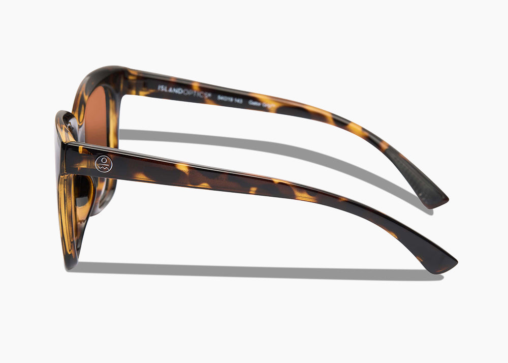 frame|tokyo tortoise|lens|brown 12