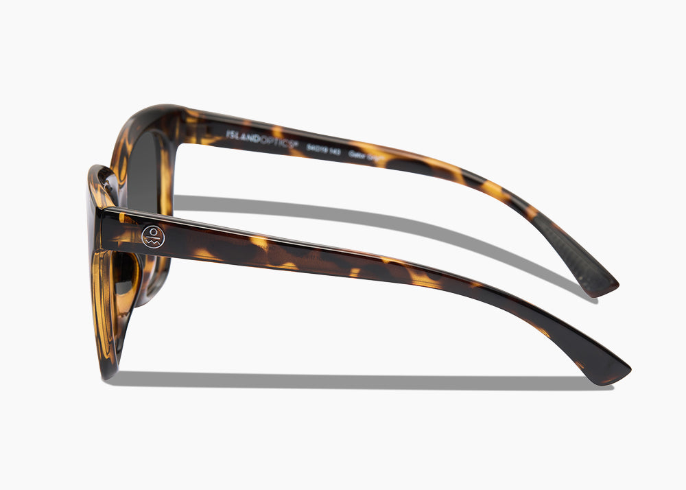 frame|tokyo tortoise|lens|gray 12