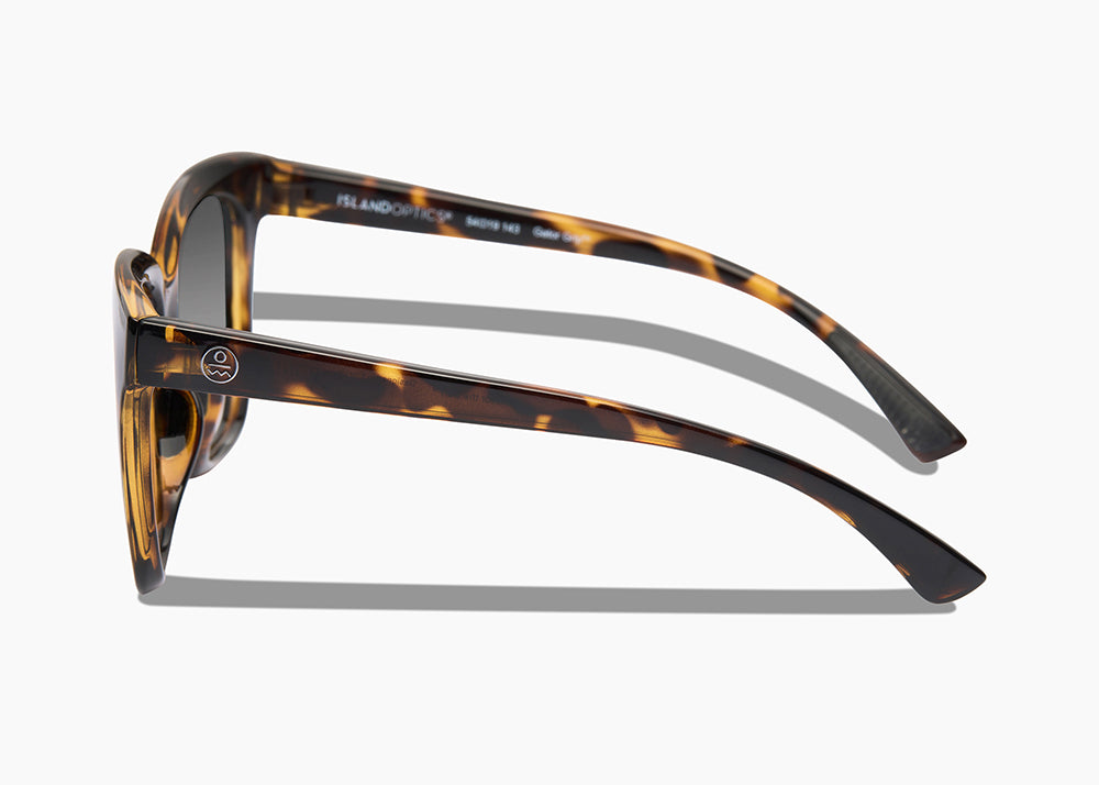 tokyo tortoise|red sunset mirror