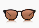 matte tortoise|brown 12