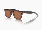 frame|tokyo tortoise|lens|brown 12