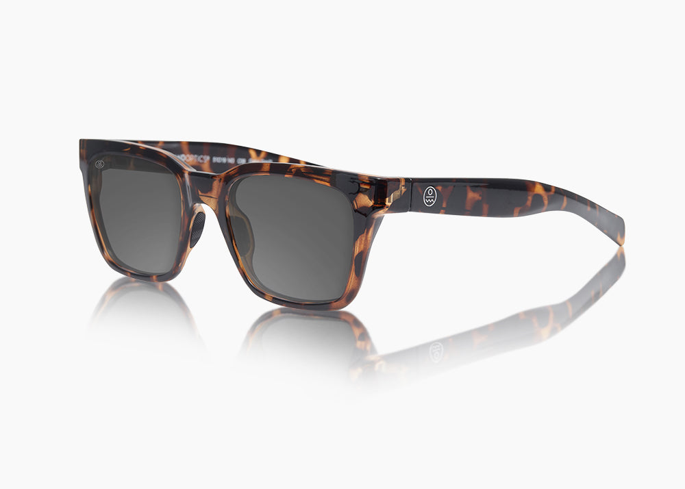 frame|tokyo tortoise|lens|gray 12