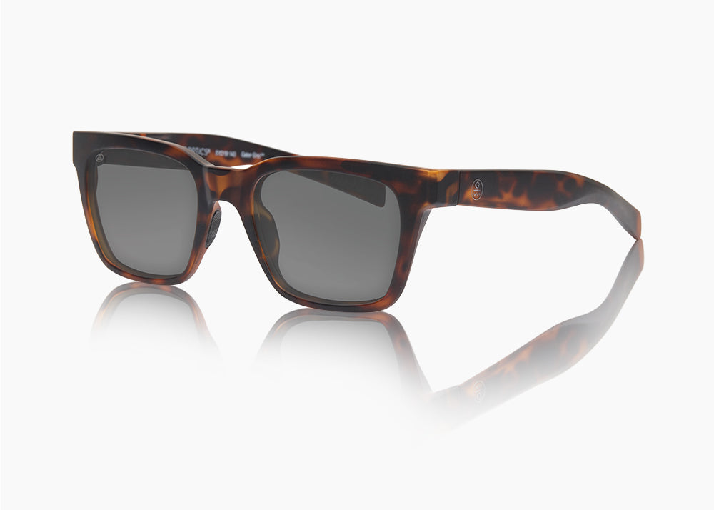 frame|matte tortoise|lens|gray 12