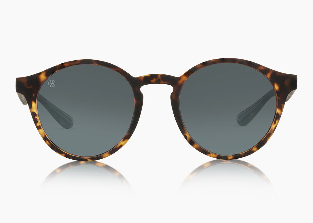 frame|matte tortoise|lens|gray 12