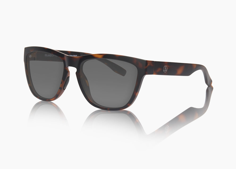 frame|matte tortoise|lens|gray 12