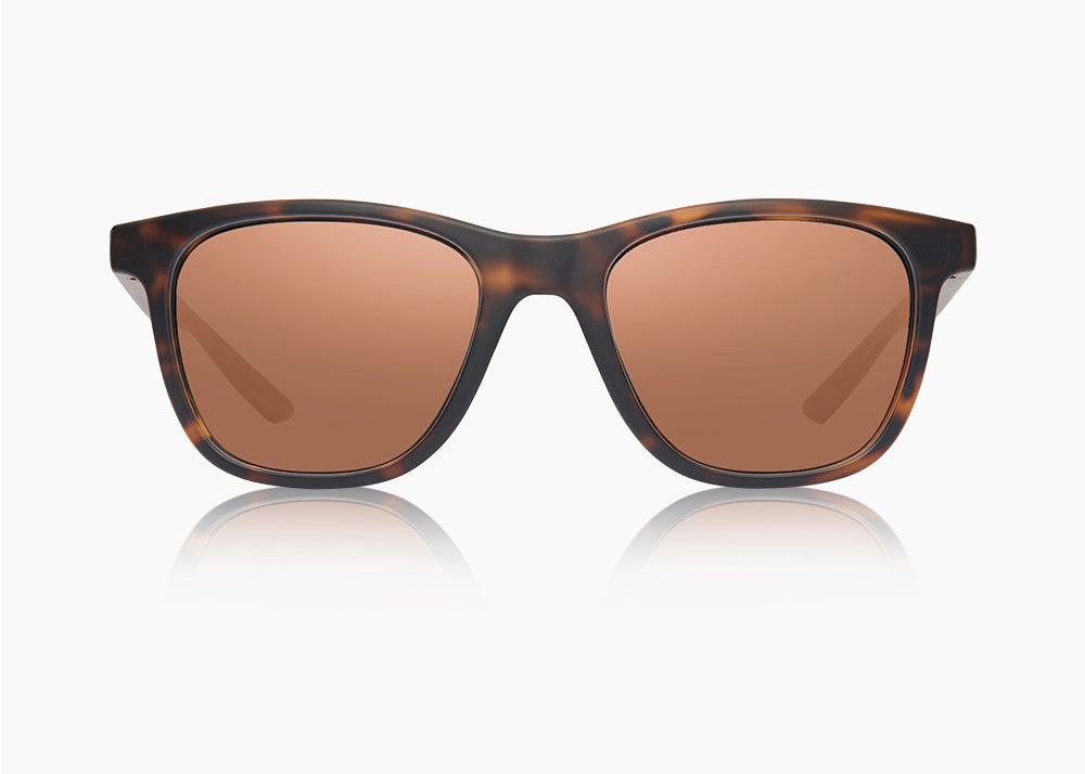 frame|matte tortoise|lens|brown 12