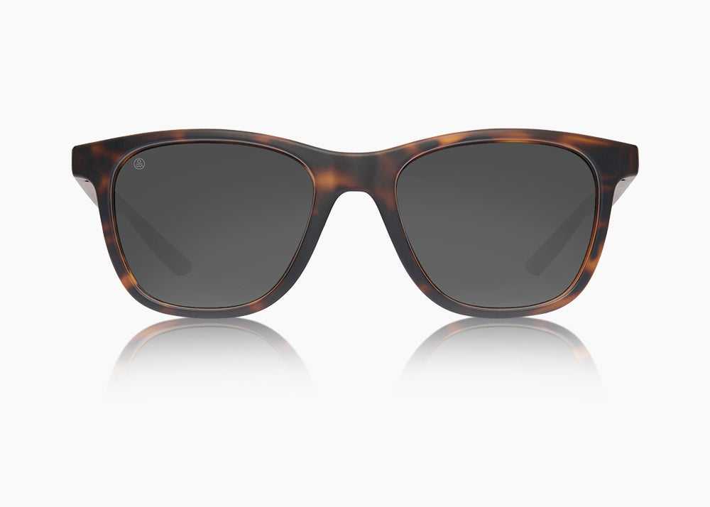frame|matte tortoise|lens|gray 12