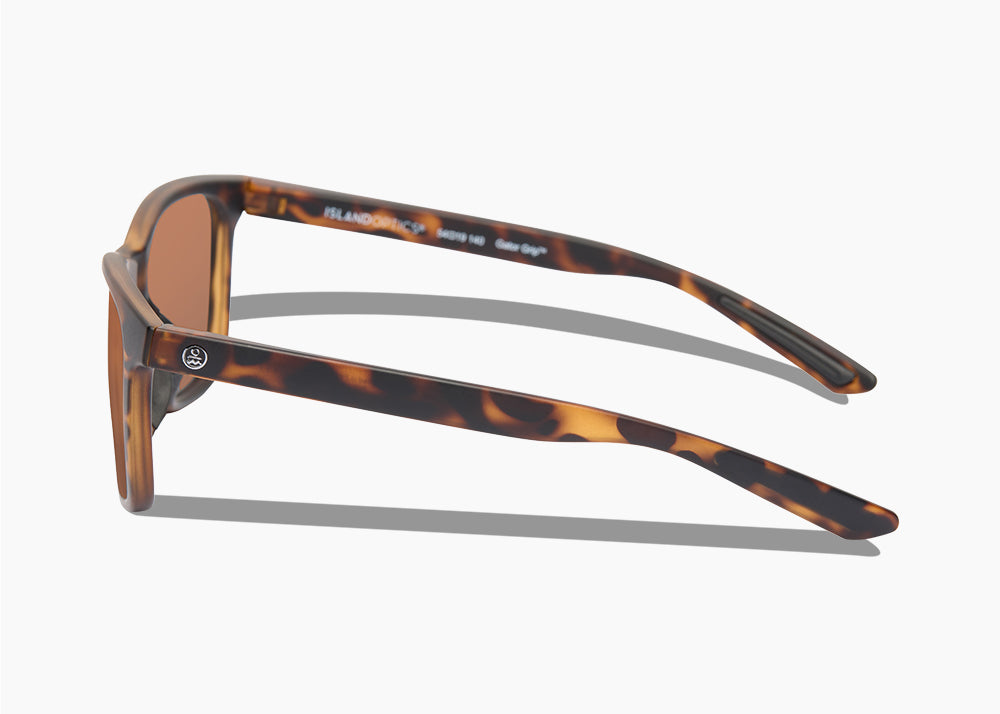 frame|matte tortoise|lens|brown 12