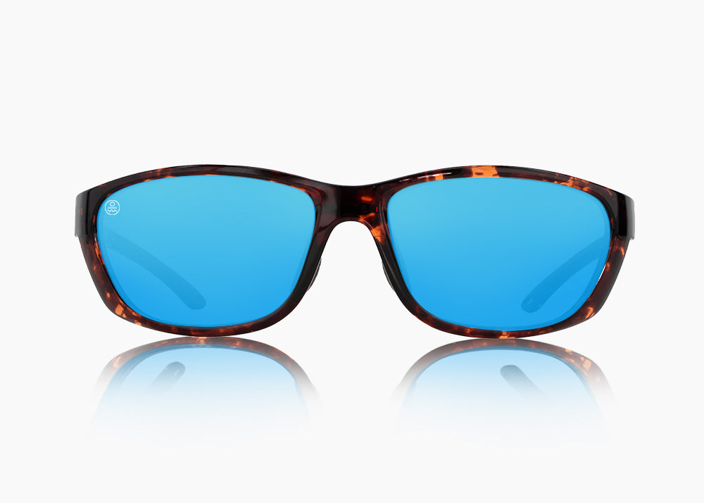 tokyo tortoise|blue flash mirror