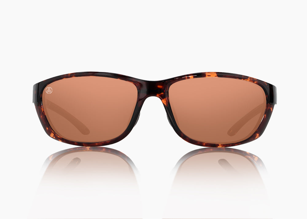 tokyo tortoise|brown 12