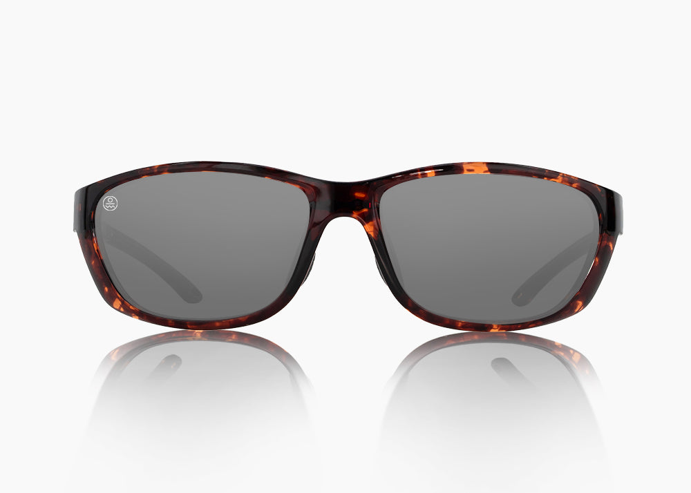 tokyo tortoise|gray 12