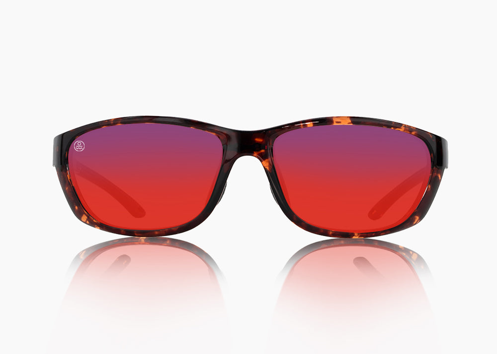 tokyo tortoise|red sunset mirror