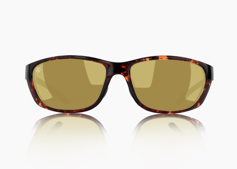 tokyo tortoise|yellow low light