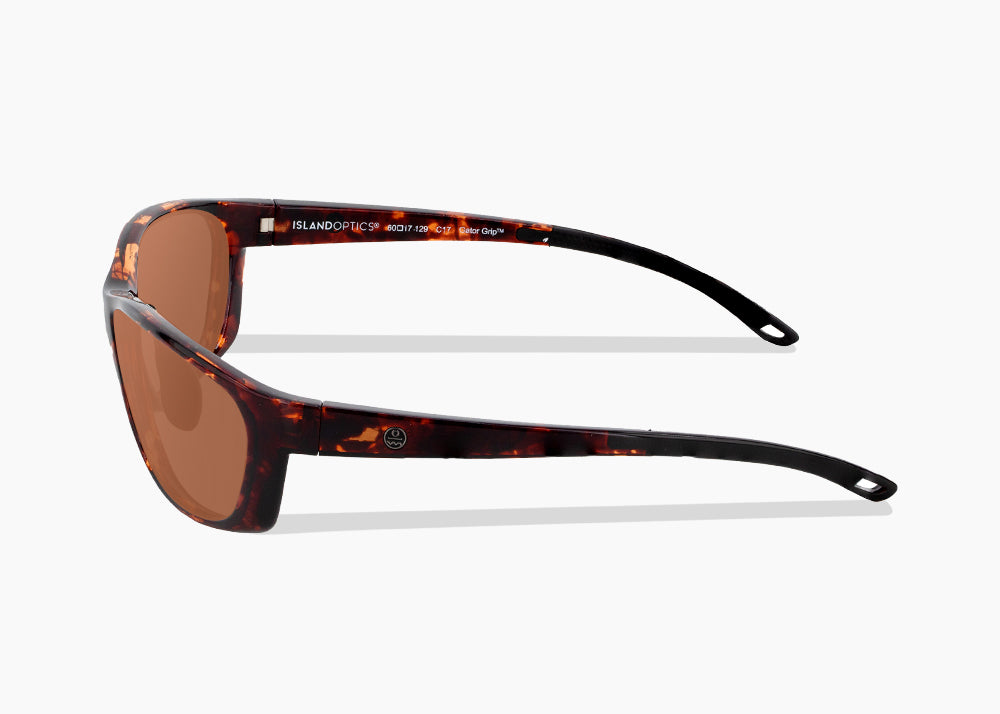 tokyo tortoise|brown 12