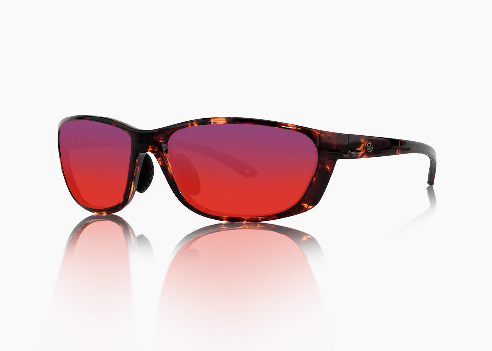 tokyo tortoise|red sunset mirror
